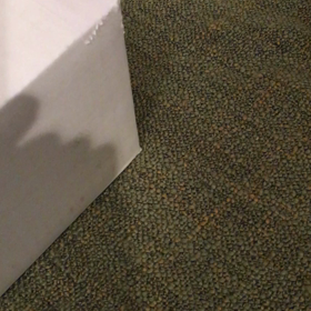 ニョキニョキの画像