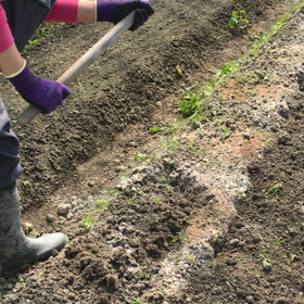 猪名川農業女子PJの画像