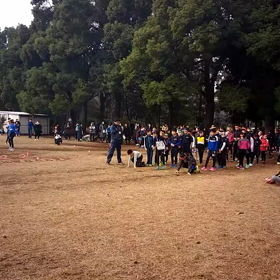 航空公園練習 ダッシュの場⑧の画像