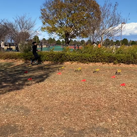 短距離レース前 アップ⑥の画像
