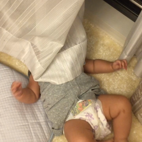 ⭐️大爆笑⭐️の画像