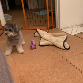 雨でイライラ⁈の画像