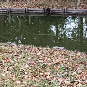 微・進化論。の画像