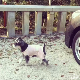 [動くふねさん]の画像