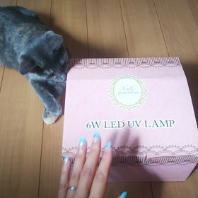 ビックリ箱の画像