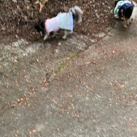 お盆休みの画像