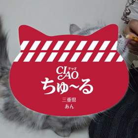 anちゃんのちゅ～るメーカーの画像