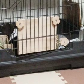 ネタバレと押し付けの画像