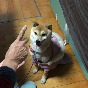 まーだぁ？の画像