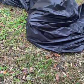 出られないの画像