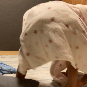 じゃれあいの画像