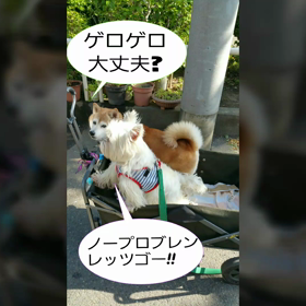 おやつとそれぞれの公園の画像