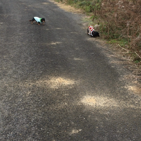 三人でお散歩の画像