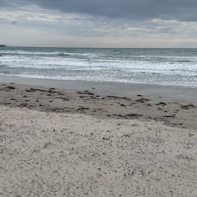 今日の波の画像