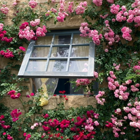 5/31の気になるMovieの画像