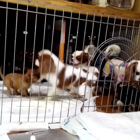 台風上陸？の画像