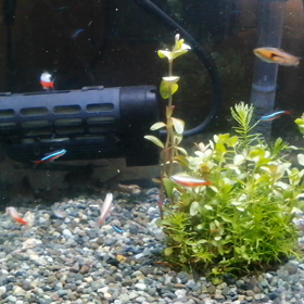 アクアリウムの画像