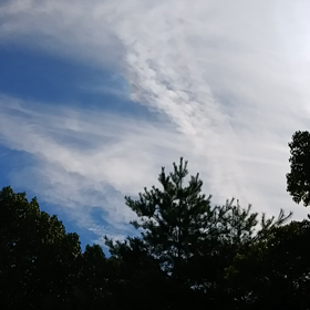 ◉後編①◉令和1年8月9日伊弉諾神宮ご奉仕後の奇跡体験談( =＾ω＾”の画像