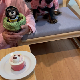 本日がバースデーの画像