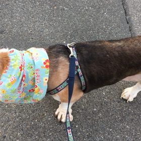 今日も元気にの画像