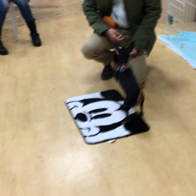 途中で遊んでみた。の画像