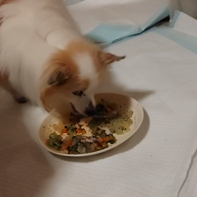 2022/10/03(月)　最近の動画。の画像