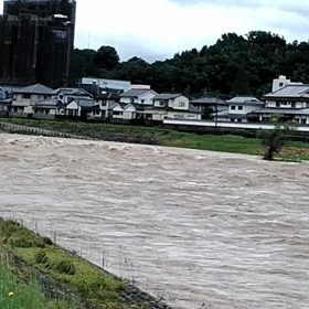 情報収集の画像
