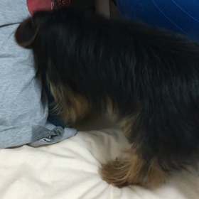 いたずらの画像