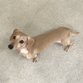 ♪プレイルーム動画♪の画像