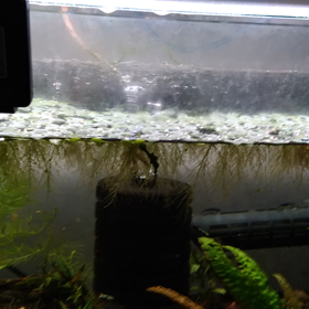 やっと。の画像