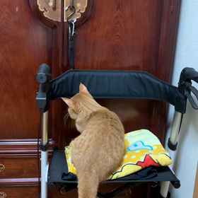 歩行器で外を歩くの画像