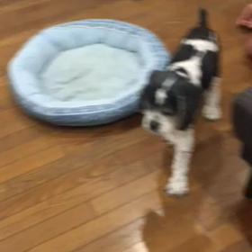 歩き方がおかしくなるの画像