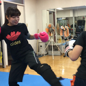 かわいい猫の戯れの画像