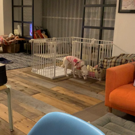 おやつが楽しくなってきました！の画像