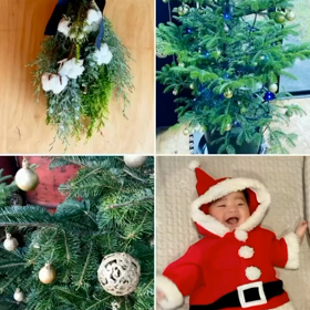 Merry Christmas⭐︎の画像