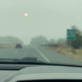 今日のお掃除の画像