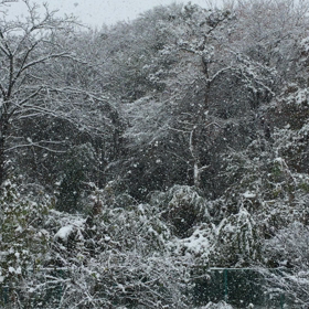 おはようございます。の画像