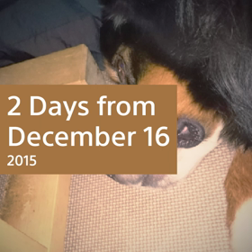 二日間のハイライトの画像