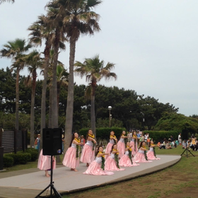 癒しの動画です♡の画像