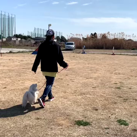 ノアさんの大成長と躾の考え方♪の画像