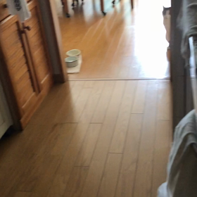 楽しい事もないけど…幸せな朝と思おう！の画像