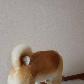 ポジションがっの画像