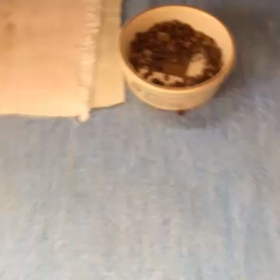 New！Mダックス！の画像