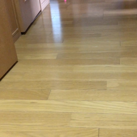 ステイホームでデールと遊ぶ！ホームステイで騒音に敏感になる。の画像