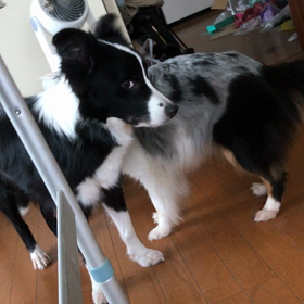 面白いことしてたから、の画像