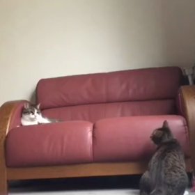 激しい目覚まし。の画像