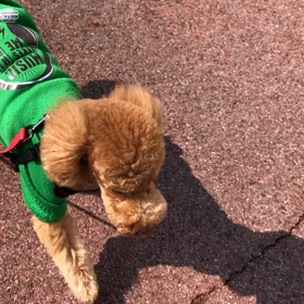 春の気分の画像