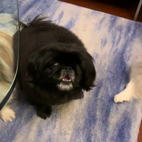 クチャクチャ♪の画像