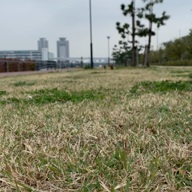 再び冬服のおさんぽの画像