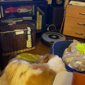 ┗┐ก( •́﹏•̀ )ｶﾕｯ...の画像